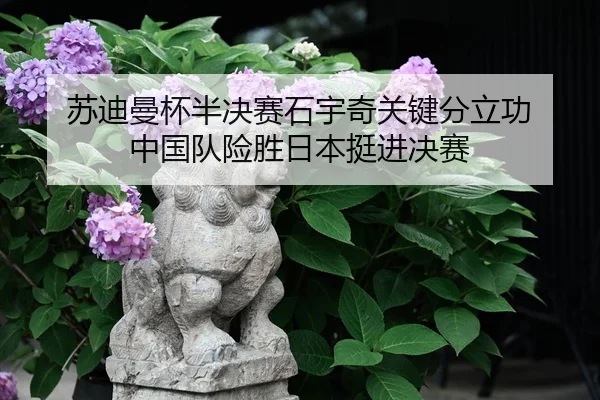 su-di-man-bei-ban-jue-sai-shi-yu-qi-guan-jian-fen-li-gong-zhong-guo-dui-xian-sheng-ri-ben-ting-jin-jue-sai-1-367.jpg